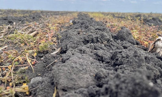 Z&J Farms