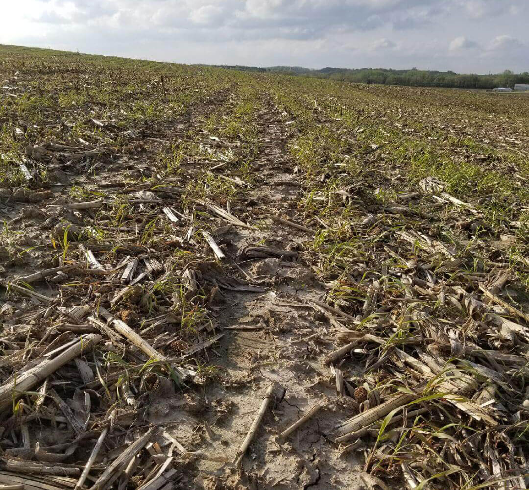 Z J Farms Cascade Ia Your Source For Truag Products