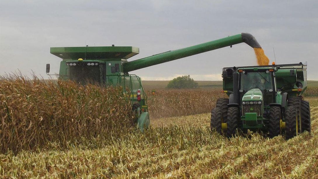 Z & J Farms harvesting Beck's Hybrid